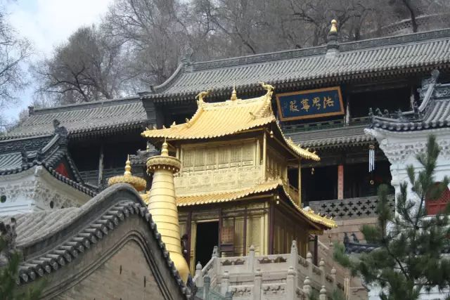 微信图片_20231225160653.jpg